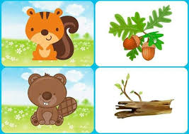 Hangi Hayvan Ne Yer Montessori Etkinlikleri Evimin Altin Topu Hayvan Hayvanlar Montessori