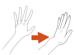 Maybe you would like to learn more about one of these? Dibujemos La Muneca De La Mano Comprension De La Estructura Medibang Paint