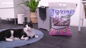 Tigerino Canada Style