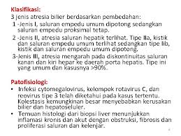 Patofisiologi fimosis menurut (muslihatun,2010:161) fimosis dialami oleh sebagian besar bayi baru lahir, karena terdapat adesi alamiah antara preputium dengan glans penis. Atresia Bilier Pada Anak Dr Ayling Sanjaya M