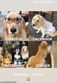 Welcome to facebook dating web./chat with new friends or find new love. Halle Berry Leads A Slew Of Stars Trying The Apos Dolly Parton Challenge Apos Big World News