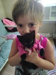 My babies (Koda and Bella) love to sun bathe early morning! Does anyone  else's do this too?!