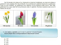 Subiecte, evaluare, nationala, clasa a 4, matematica, testul 2, Evaluarea Nationala 2015 Subiecte Clasa Ii Matematica Suntparinte Ro