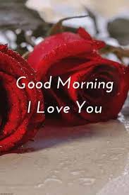 Good Morning Hd Romantic Pics With Red Rose I Love You In 2020 Good Morning Love Messages Good Morning My Love Good Morning Love