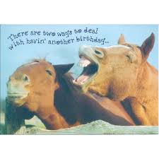 Maybe you would like to learn more about one of these? Birthday Wishes Horse Lover