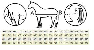 Bucas Help Horse Rug Size Guide