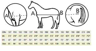 bucas help horse rug size guide