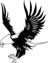 Black And White Eagle Tattoo Designs Eagle Clip Art Black And White Eagle Outline Cliparts Co Eagle Outline Elephant Stencil Bear Paw Tattoos