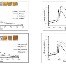 Image result for Embelia ruminata
