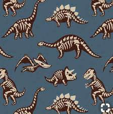 Pin By Jjocson On Dino Dinosaur Wallpaper Dinosaur Background Skeleton Drawings
