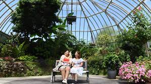 Belle isle conservatory is a wedding venue in detroit, mi. Belle Isle Anna Scripps Whitcomb Conservatory