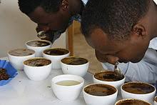 How do different kinds of caffeine (coffee, tea, soft drinks, energy drinks) affect the cardiovascular system?. Coffee Cupping Wikipedia