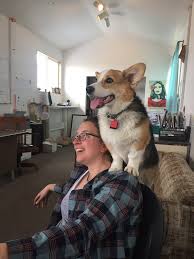 Put your landscaping skills on display with mulch and flower varieties perfect for any region. Introducing Calliope Flowers Farm Happenings At Strike Farms Harvie