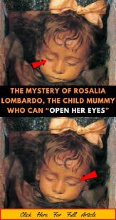 Rosalia meant the world to her family, especially her father who sought to preserve her eternally. The Mystery Of Rosalia Lombardo The Child Mummy Who Can Open Her Eyes Rosalia Rosalia Lombardo Truth And Dare