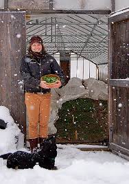 Tips For Planning Your Winter Harvest High Mowing Organic