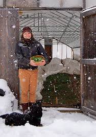 Tips For Planning Your Winter Harvest High Mowing Organic