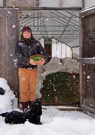 tips for planning your winter harvest high mowing organic