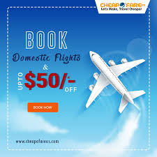 Domestic Flights ในป 2020