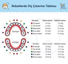 saglikli bir bebek normal kosullarda 6 7 aylikken dis cikarmaya baslar birkac yasina kadar suren dis cikarma surecinde en cok sikinti ilk map map screenshot