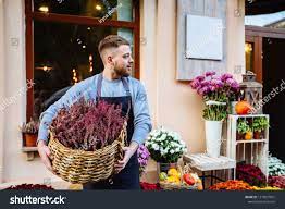 Man In Apron Holding Basket With Vibrant Pink Common Heather Calluna Vulgaris Looking Away Over Window Storefront Aprons For Men Photo Editing Stock Photos