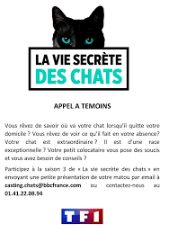 Seeders, leechers and torrent status is updated several times per day. Gruissan L Emission La Vie Secrete Des Chats Fait Facebook