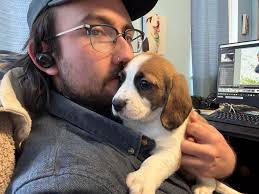 New Cumberland listing!