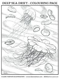 Maybe you would like to learn more about one of these? Colouring Pages Blog Claire Watson