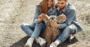 Aloe, witch hazel, green tea infused coconut oil, colloidal silver, turmeric, geranium, lavender & bergamot. Dog Ear Cleaners Should You Use Dog Ear Cleaners