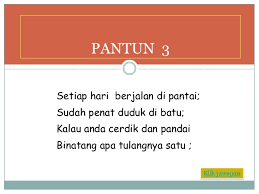 Pantun ini menjadi salah satu jenis pantun yang populer dan banyak diminati disemua. Pantun Teka Teki