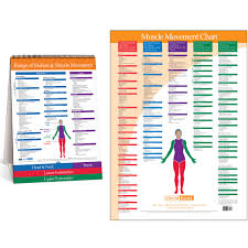 Joint Range Of Motion Muscle Movement Chart