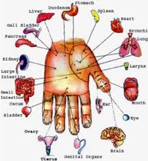 30 Precise Acupressure Points Chart In Hindi Pdf