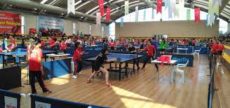 Sporvitrini Com Masa Tenisi