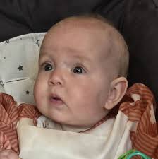 Hi. Has anyone installed a solar panel