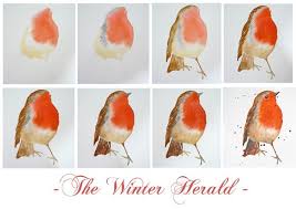 20 Die Chroniken Der Aquarellvogel Tutorial Malerei Ideen Kus Sanat Suluboya Sanati Sanat Projeleri
