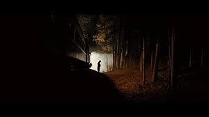 The Assassination Of Jesse James By The Coward Robert Ford Cinematography The Assassination Of Jesse James By The Coward Robert Ford 2007 In 2020 Assassination Of Jesse James Cinematography Beautiful Cinematography