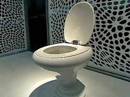 Choose The Right Toilet For Your Bathroom Hgtv