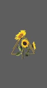 Best Flowers Tumblr Background Iphone Wallpaper Posts Ideas Sunflower Wallpaper Tumblr Backgrounds Aesthetic Iphone Wallpaper