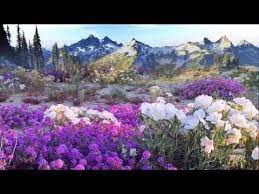 ♪♫flowers of the forest ~ mike oldfield. Flowers Of The Forest Mike Oldfield Mike Oldfield Kinds Of Music Forest