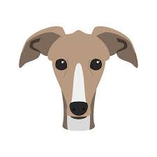Greyhound Dog Isolated On White Background Vector Illustration Animal Illustration Art Grey Hound Dog Dog Illustration