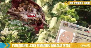 Anda perlu ingat bahawa untuk melakukan pembaharuan lesen cidb, anda perlu memastikan mata ccd tidak kurang daripada 30 mata. Perbaharui Lesen Memandu Secara Atas Talian Ini Caranya Car Owners Guides Carlist My