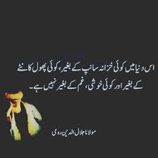 Pin By Xilent Ahmed On Fu Qtr Rumi Quotes Soul Rumi Love Quotes Sufi Quotes