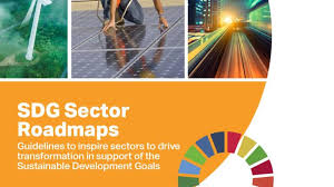 Sdg Action Policy
