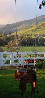 Saddle Swings Saddle Swing Outdoor Fun For Kids Outside Swing