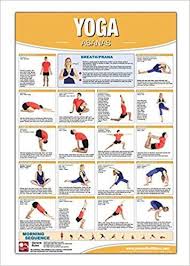 This Yoga Poster Features 18 Common Asanas All Asanas Are Clearly Explained With Step By Step Instructions And Descript Yoga Asanas Workout Posters Basic Yoga