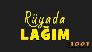 ruyada lagim gormek lagim faresi ve suyu gormek ruya su isaretler