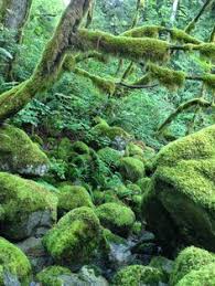 Tall chief rv & camping resortfall city, wa. 10 North Bend Wa Ideas North Bend Snoqualmie Mount Si
