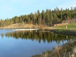 Over 1200 sqft of living space with in suite laundry room, two bedrooms plus living and family rooms. Logan Lake Lake Logan Lake Lakefront