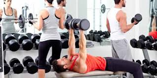 Resultado de imagem para musculação