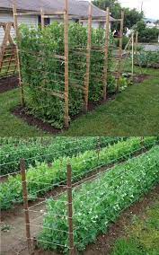 This fully functional cucumber trellis looks cool and inspiring. 15 Easy Diy Cucumber Trellis Ideas A Piece Of Rainbow