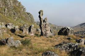 Image result for Sericanthe chimanimaniensis